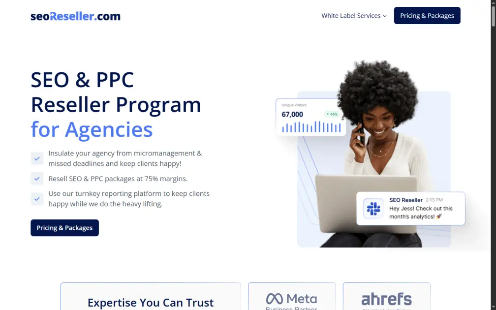Screenshot of SEOReseller.com white label seo services agency dashboard